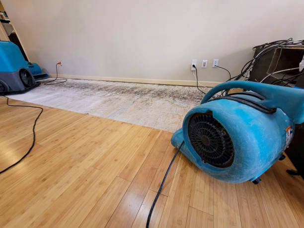Professional Sewage Cleanup technician working in Lancaster, MA